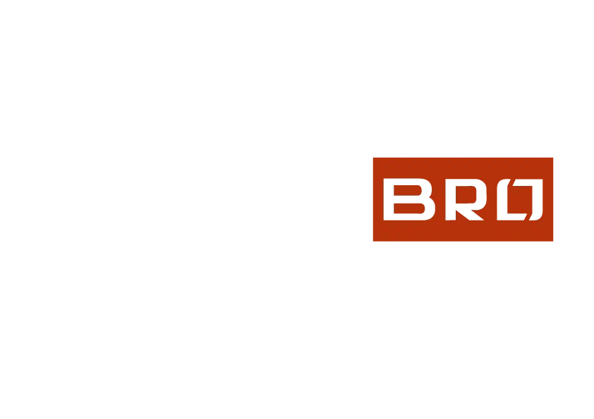 LavsanBRO